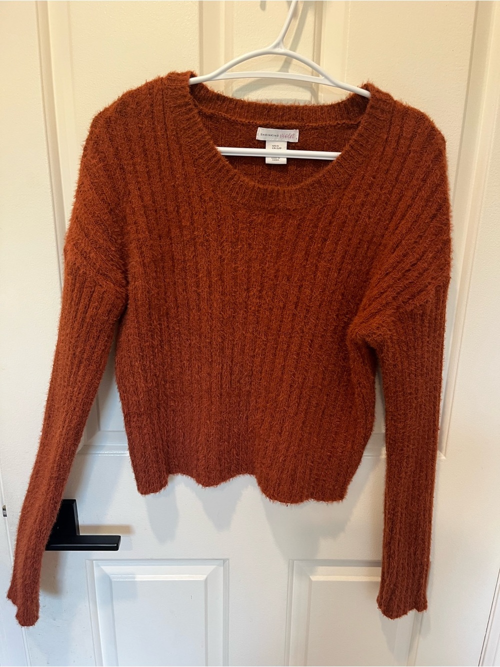 Shrinking Violet Rust Orange Crewneck Sweater